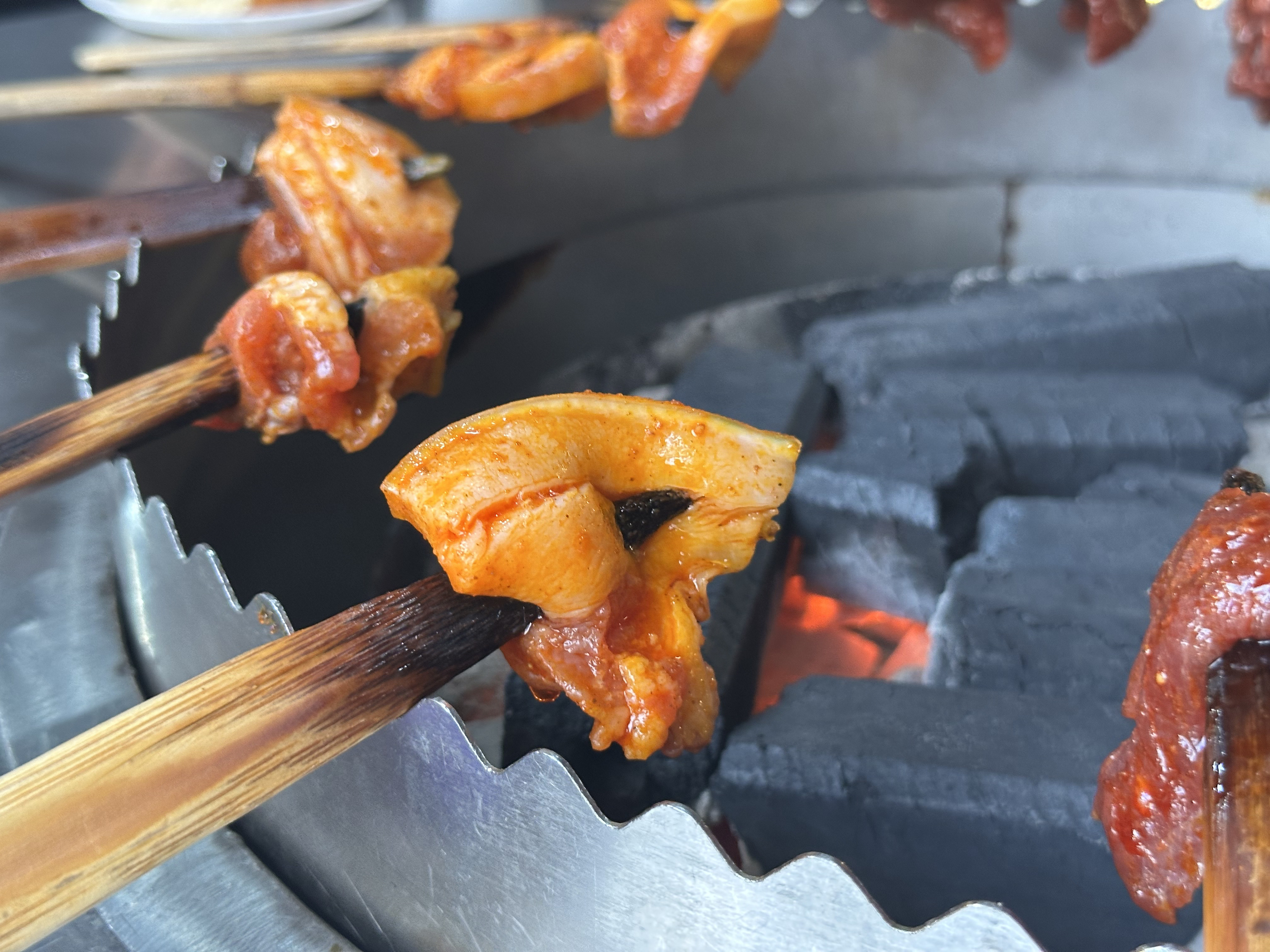 Close-up of skewers beside the charcoal fire