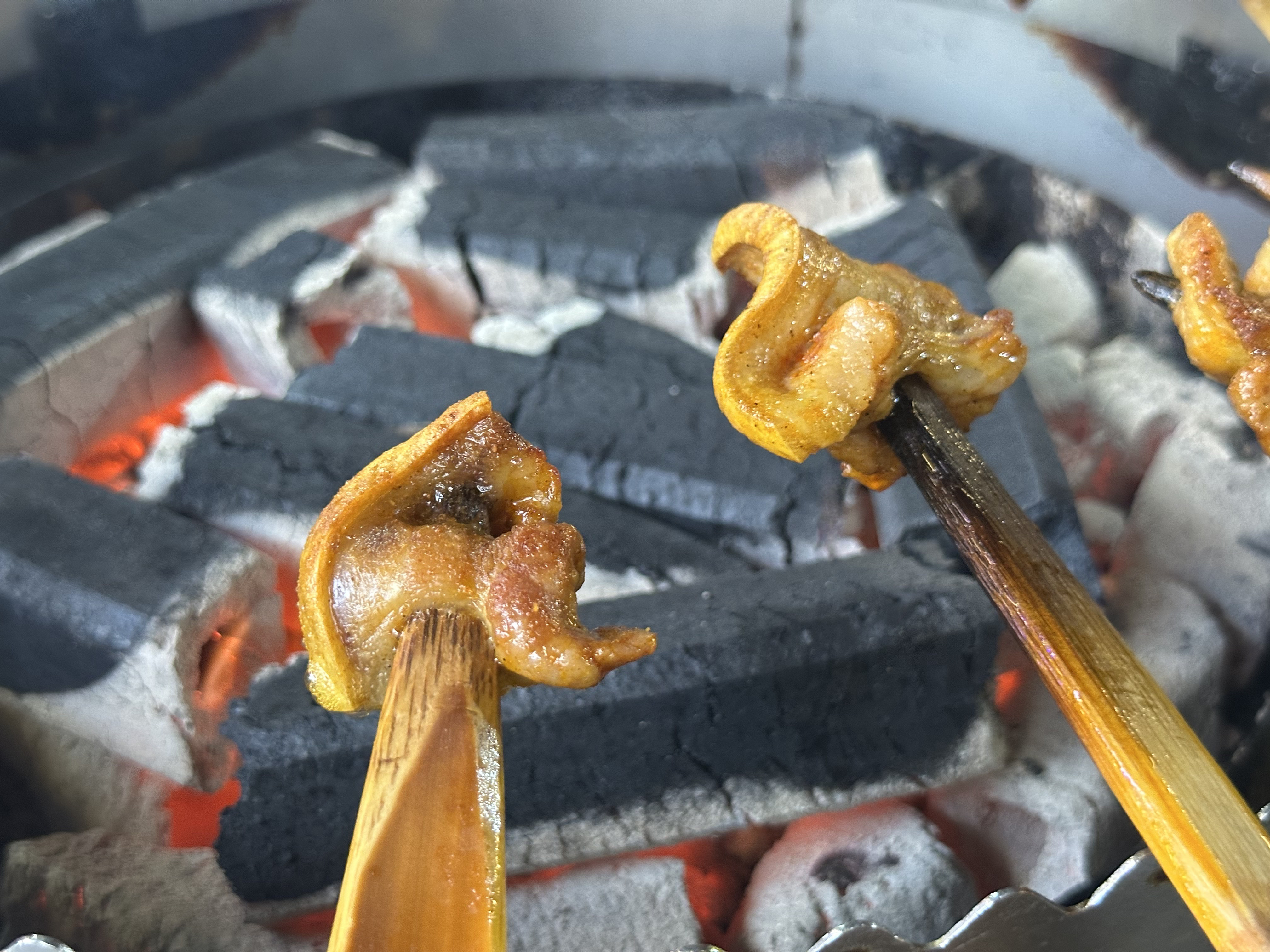 Skewers over a charcoal fire