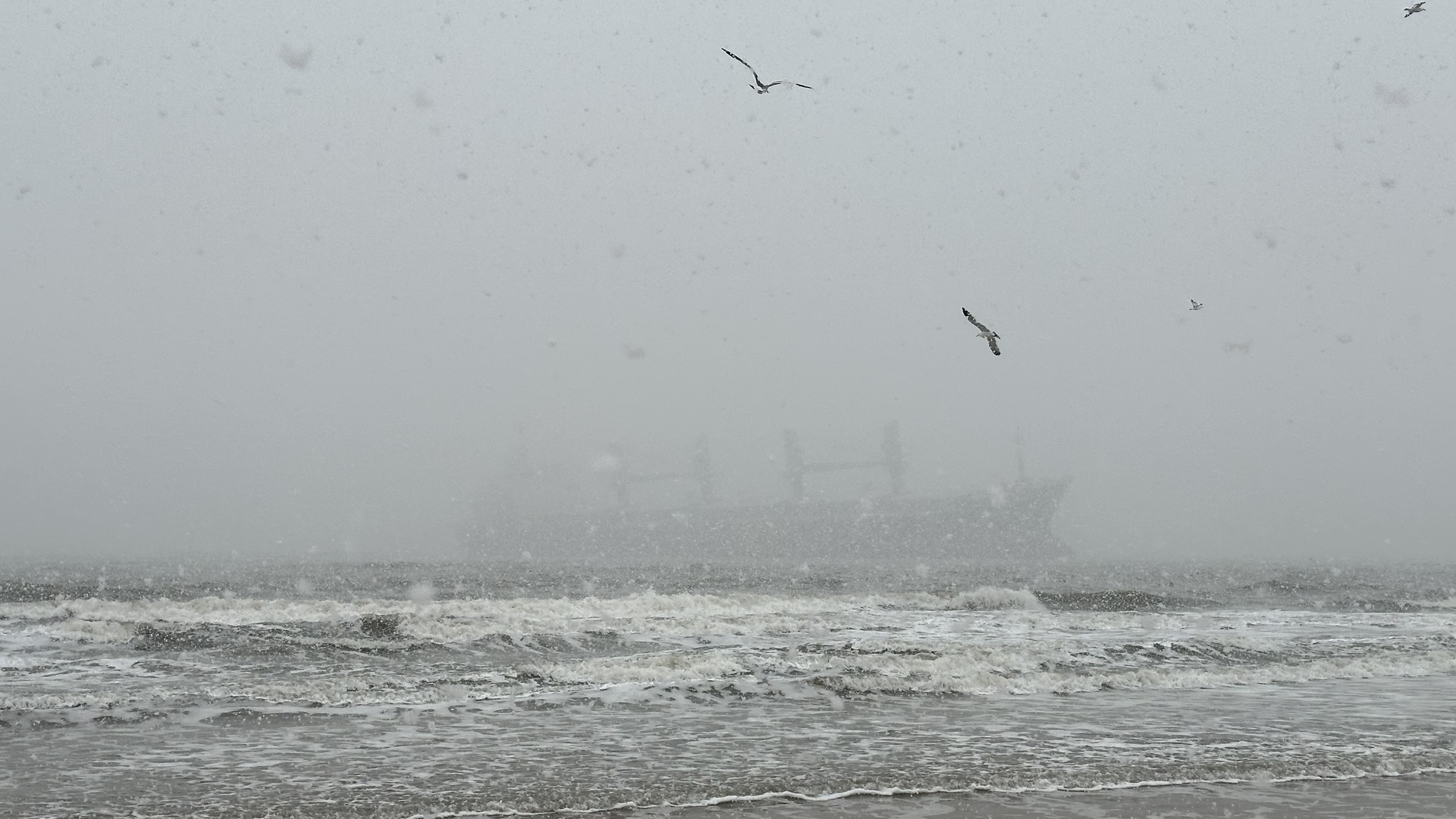 IMG_7161_Weihai