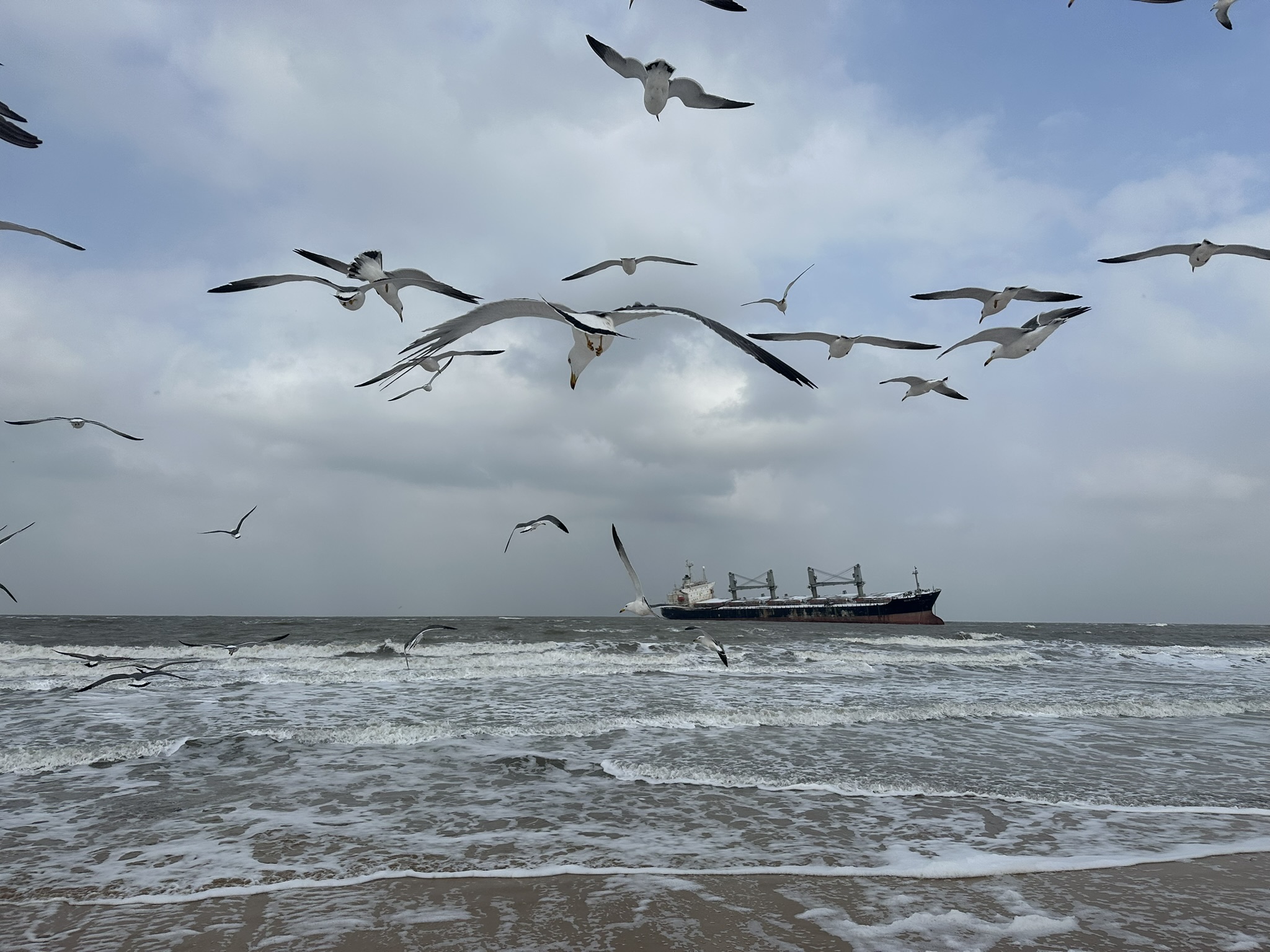 IMG_7271_Weihai