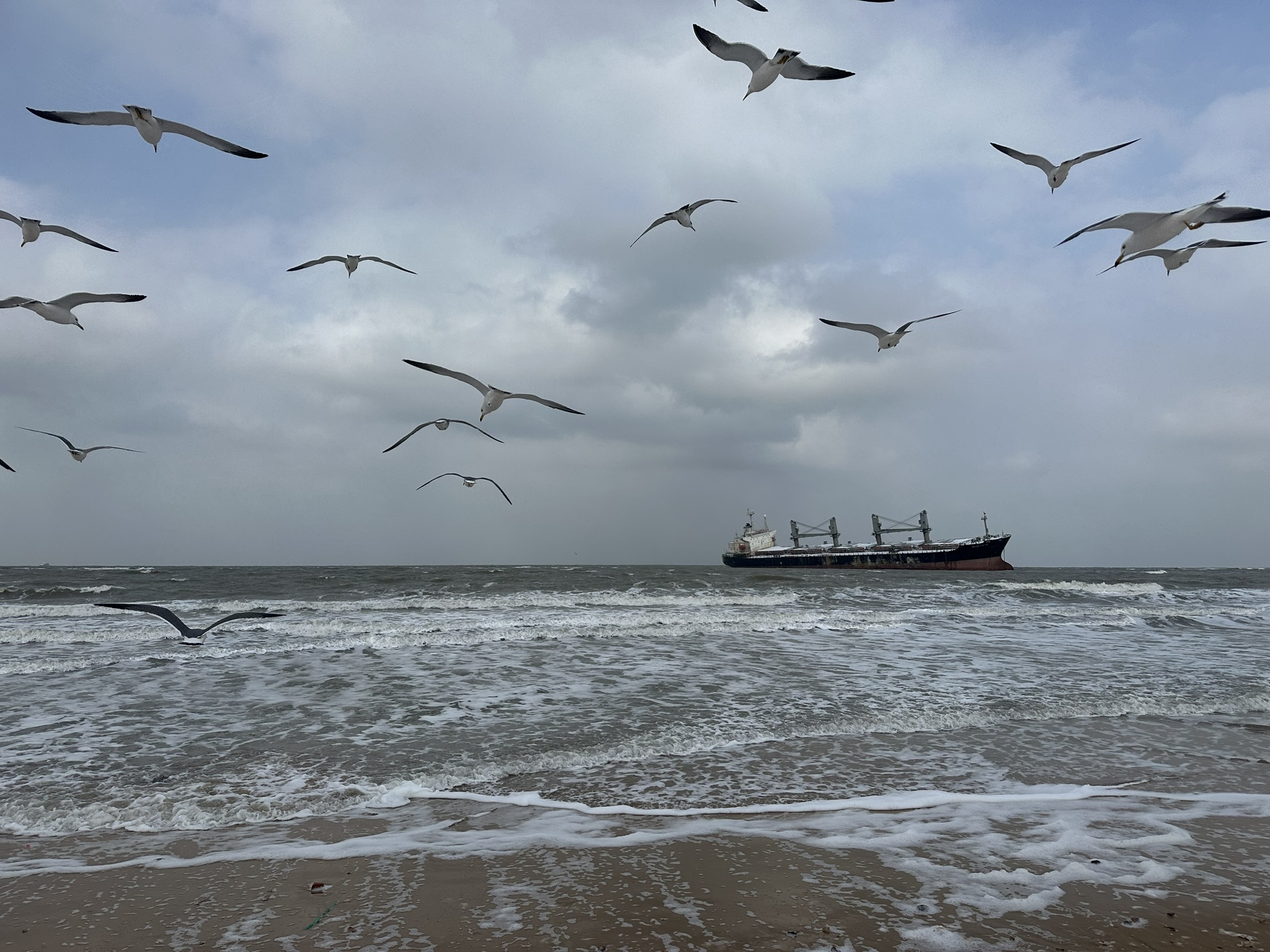 IMG_7275_Weihai