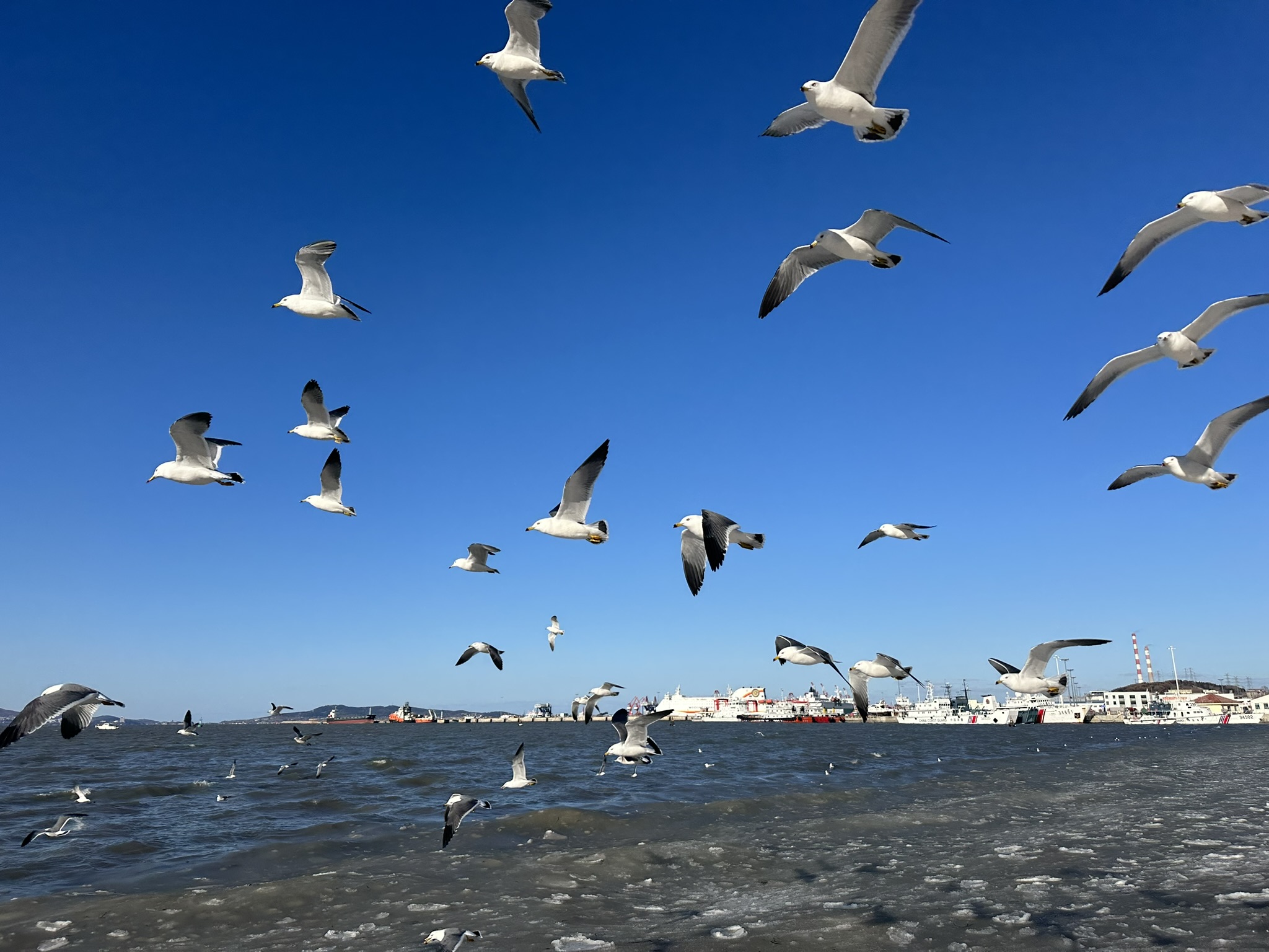 IMG_7418_Weihai