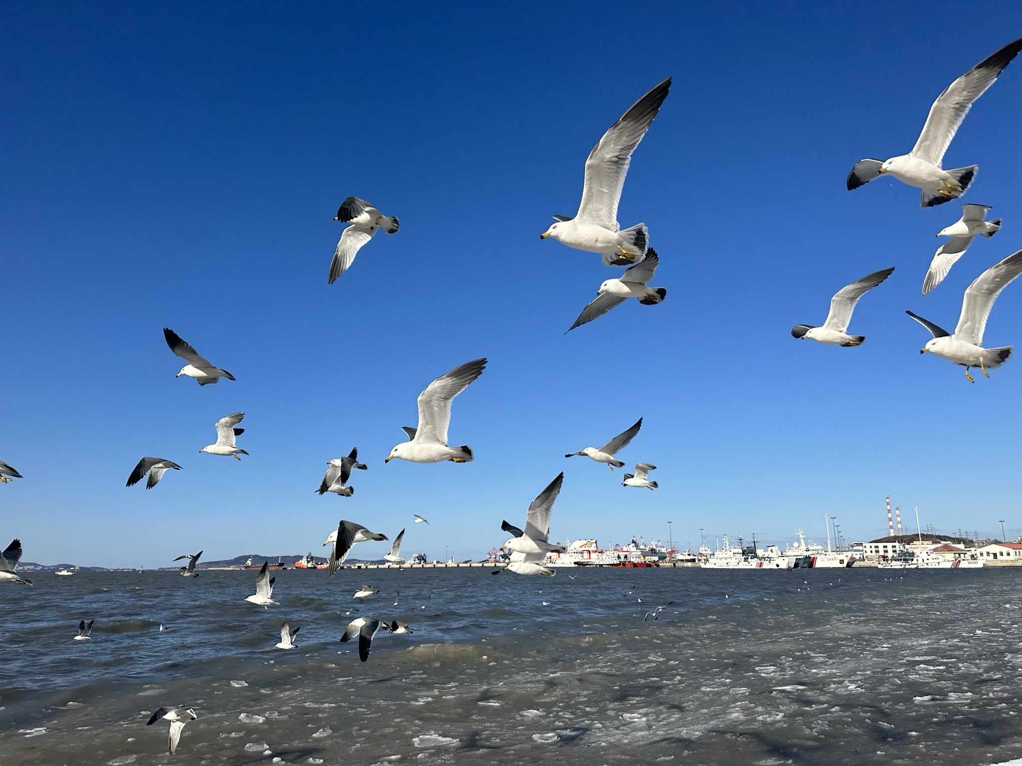 IMG_7419_Weihai