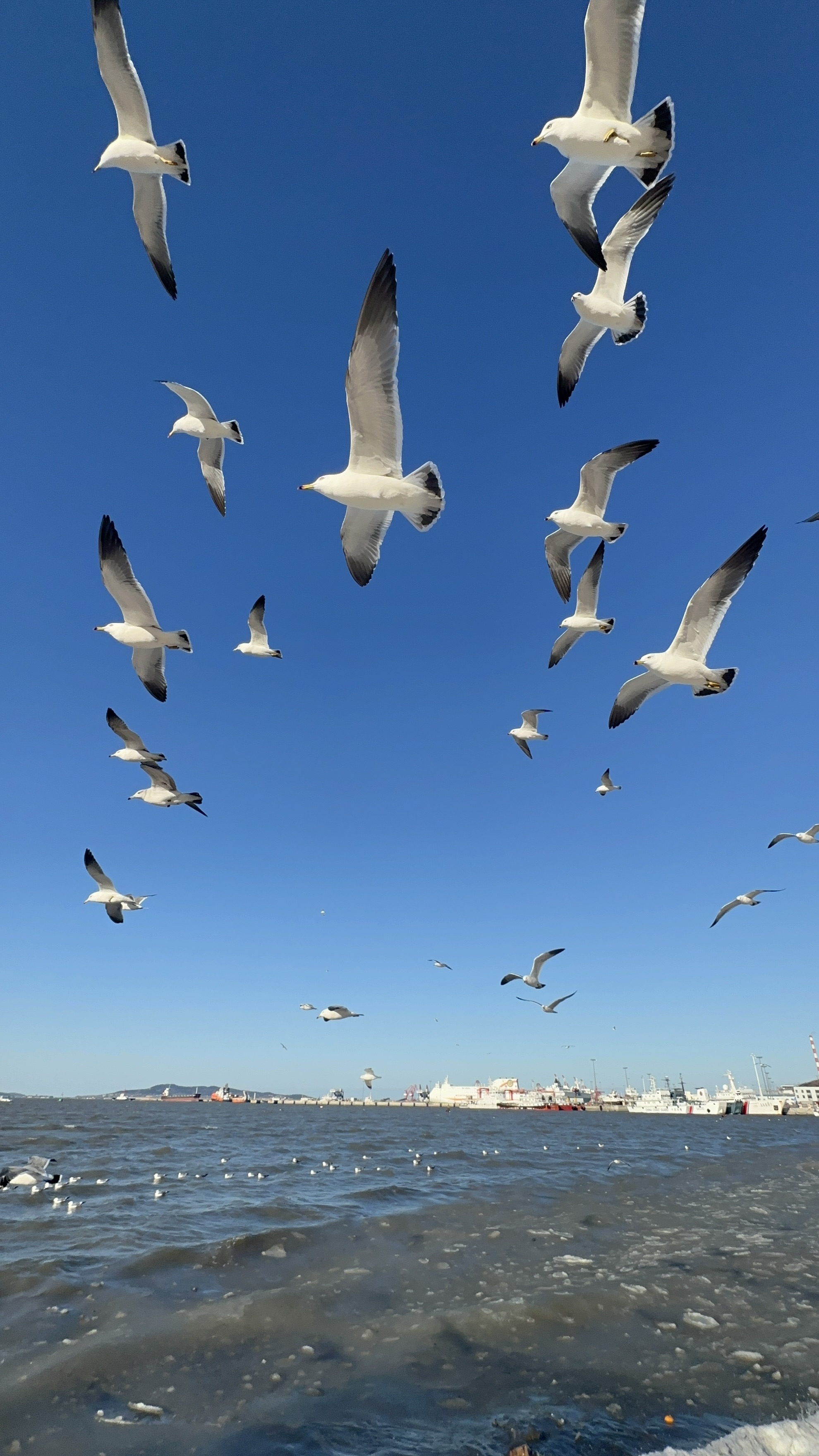 IMG_7445_Weihai