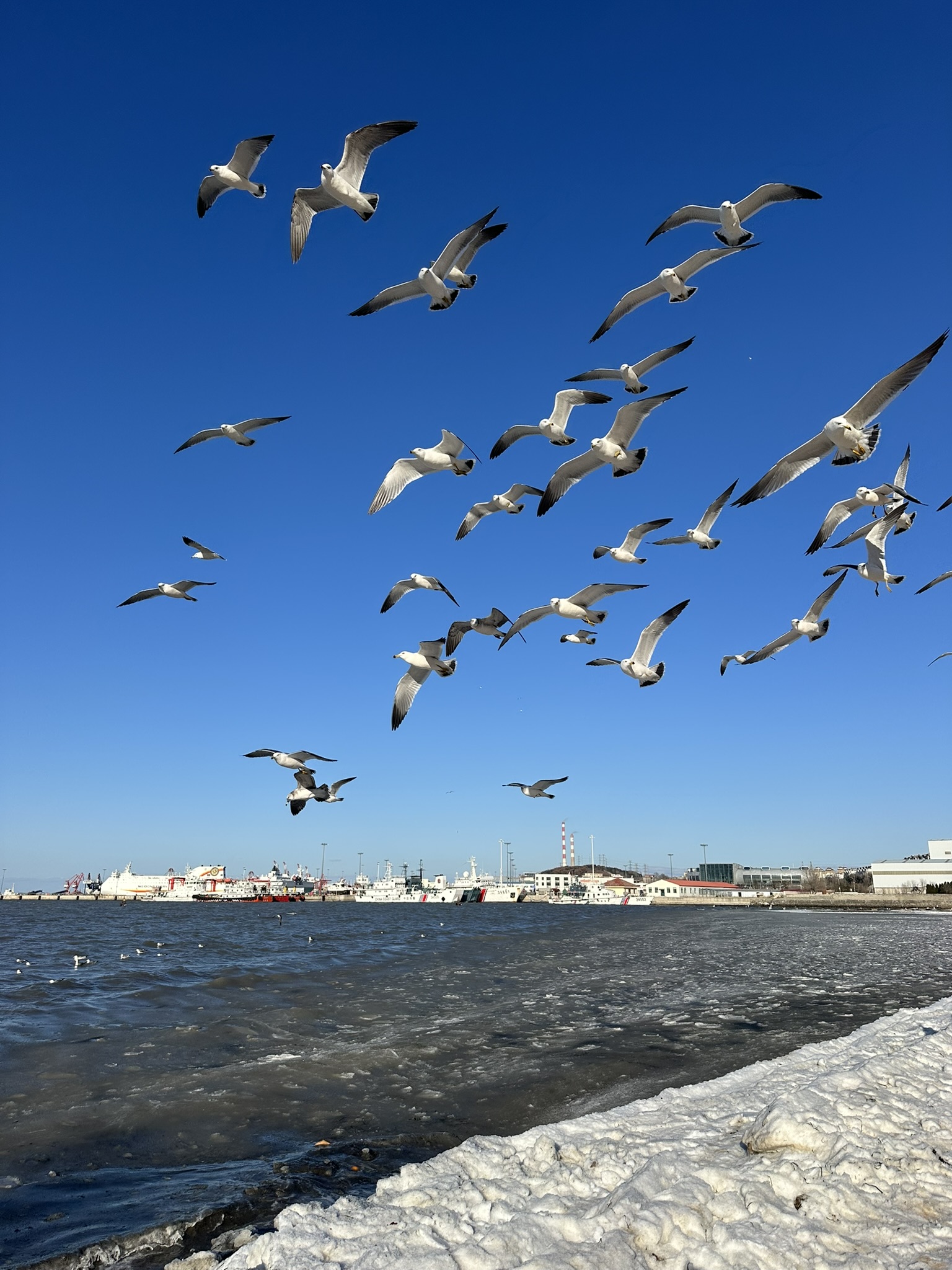 IMG_7458_Weihai
