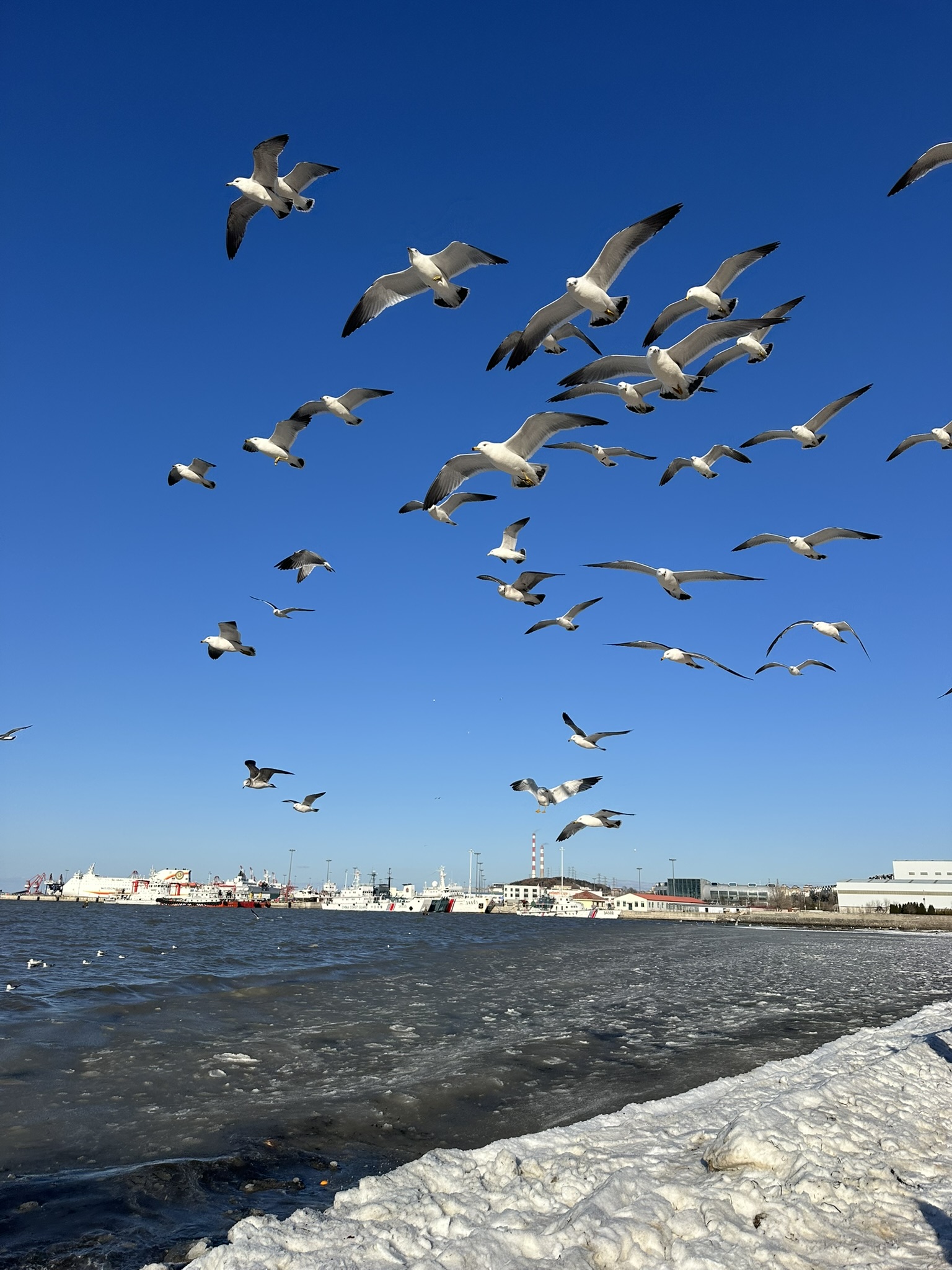 IMG_7459_Weihai