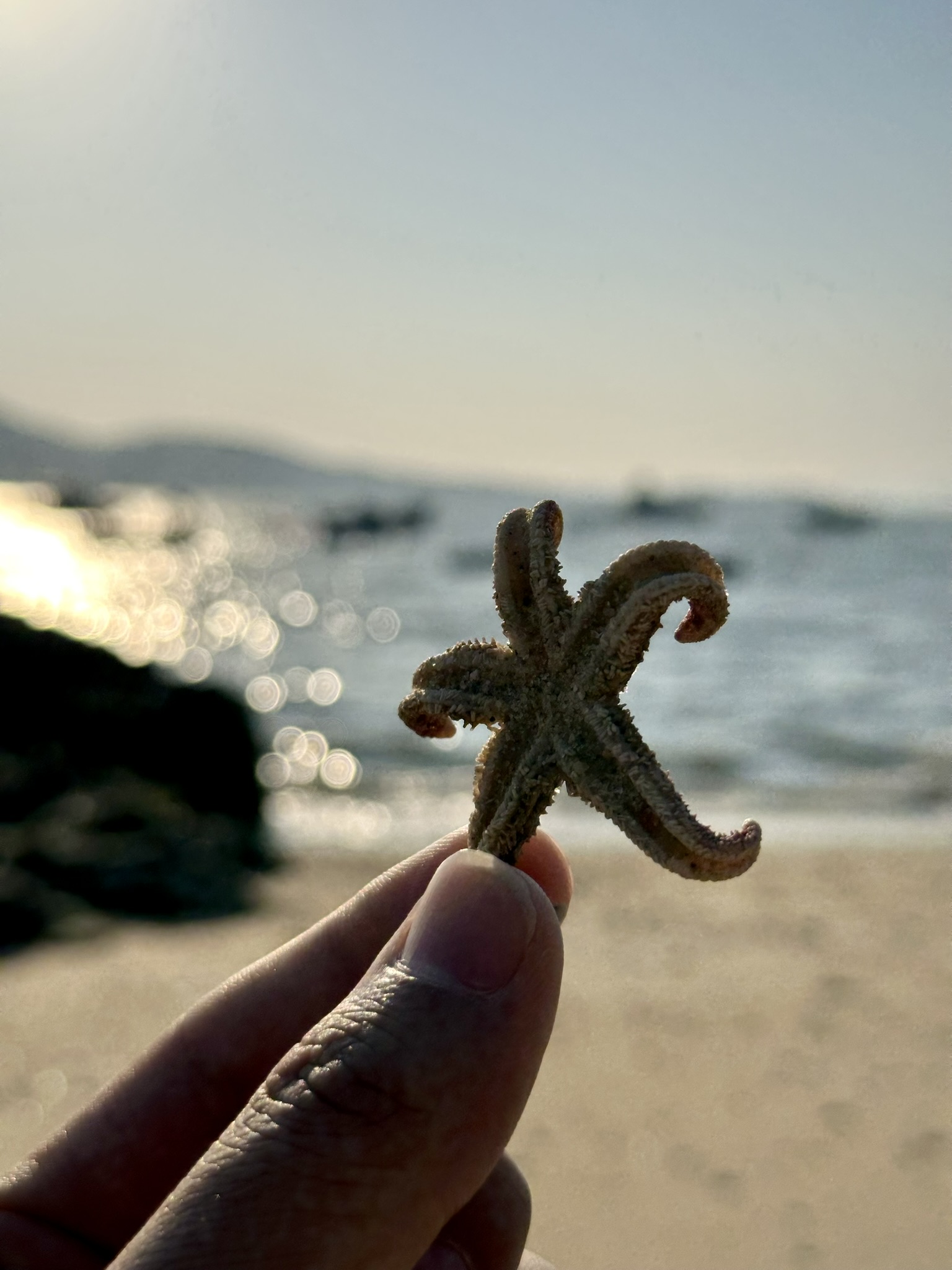 IMG_7597_Weihai